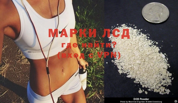 spice Лагань