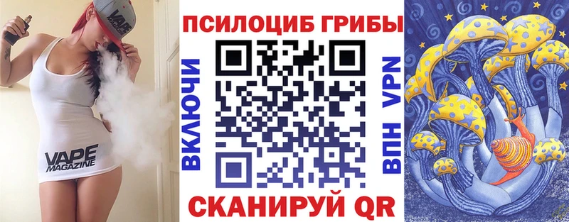 Галлюциногенные грибы MAGIC MUSHROOMS  где продают наркотики  Махачкала 